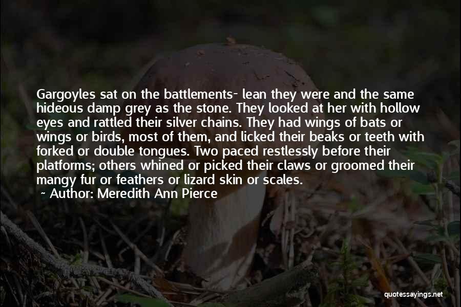 Meredith Ann Pierce Quotes: Gargoyles Sat On The Battlements- Lean They Were And The Same Hideous Damp Grey As The Stone. They Looked At