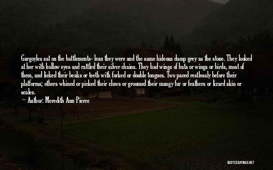 Meredith Ann Pierce Quotes: Gargoyles Sat On The Battlements- Lean They Were And The Same Hideous Damp Grey As The Stone. They Looked At