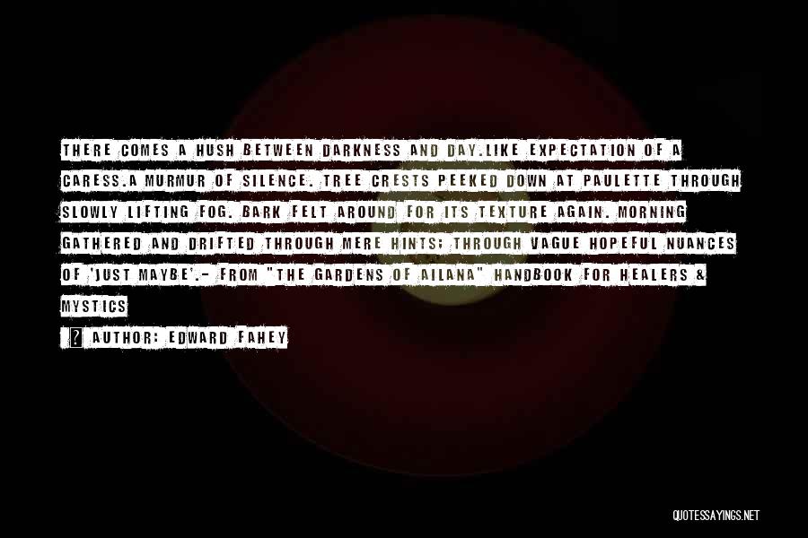 Edward Fahey Quotes: There Comes A Hush Between Darkness And Day.like Expectation Of A Caress.a Murmur Of Silence. Tree Crests Peeked Down At