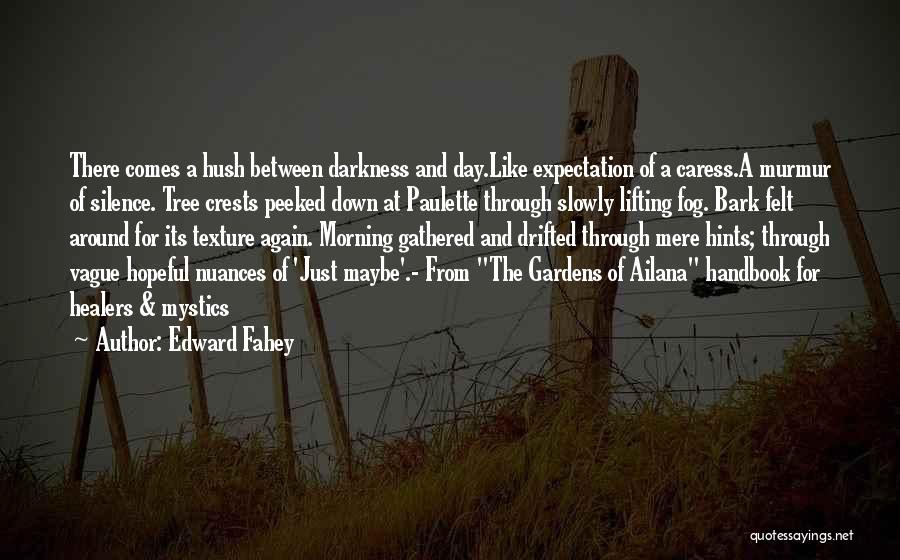 Edward Fahey Quotes: There Comes A Hush Between Darkness And Day.like Expectation Of A Caress.a Murmur Of Silence. Tree Crests Peeked Down At