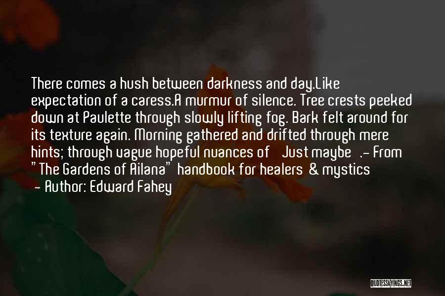 Edward Fahey Quotes: There Comes A Hush Between Darkness And Day.like Expectation Of A Caress.a Murmur Of Silence. Tree Crests Peeked Down At