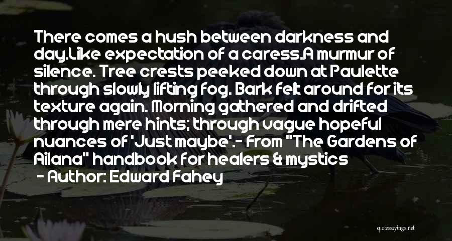 Edward Fahey Quotes: There Comes A Hush Between Darkness And Day.like Expectation Of A Caress.a Murmur Of Silence. Tree Crests Peeked Down At