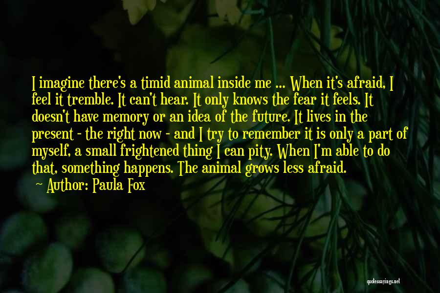 Paula Fox Quotes: I Imagine There's A Timid Animal Inside Me ... When It's Afraid, I Feel It Tremble. It Can't Hear. It