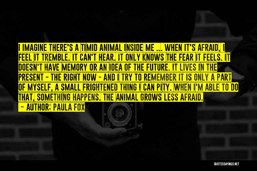 Paula Fox Quotes: I Imagine There's A Timid Animal Inside Me ... When It's Afraid, I Feel It Tremble. It Can't Hear. It