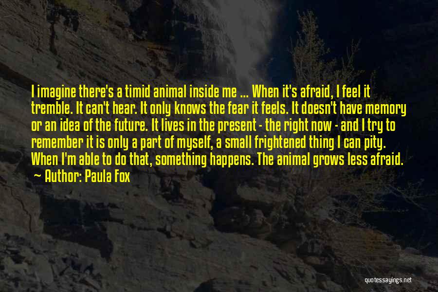 Paula Fox Quotes: I Imagine There's A Timid Animal Inside Me ... When It's Afraid, I Feel It Tremble. It Can't Hear. It