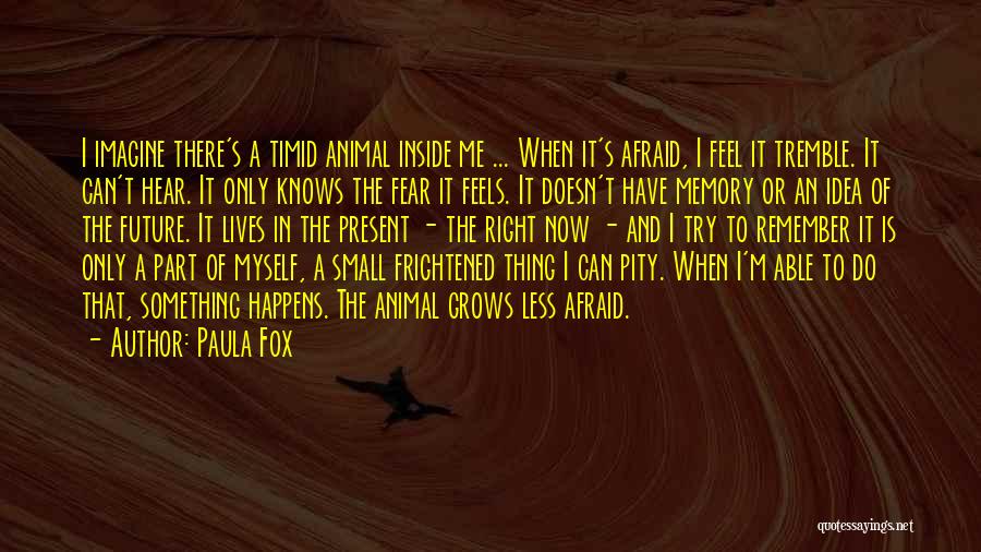 Paula Fox Quotes: I Imagine There's A Timid Animal Inside Me ... When It's Afraid, I Feel It Tremble. It Can't Hear. It