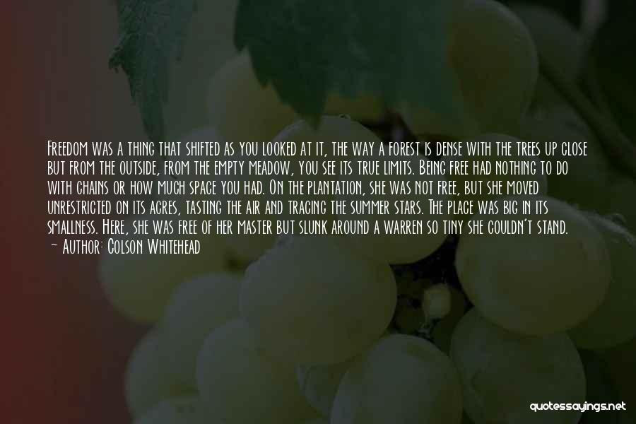 Colson Whitehead Quotes: Freedom Was A Thing That Shifted As You Looked At It, The Way A Forest Is Dense With The Trees