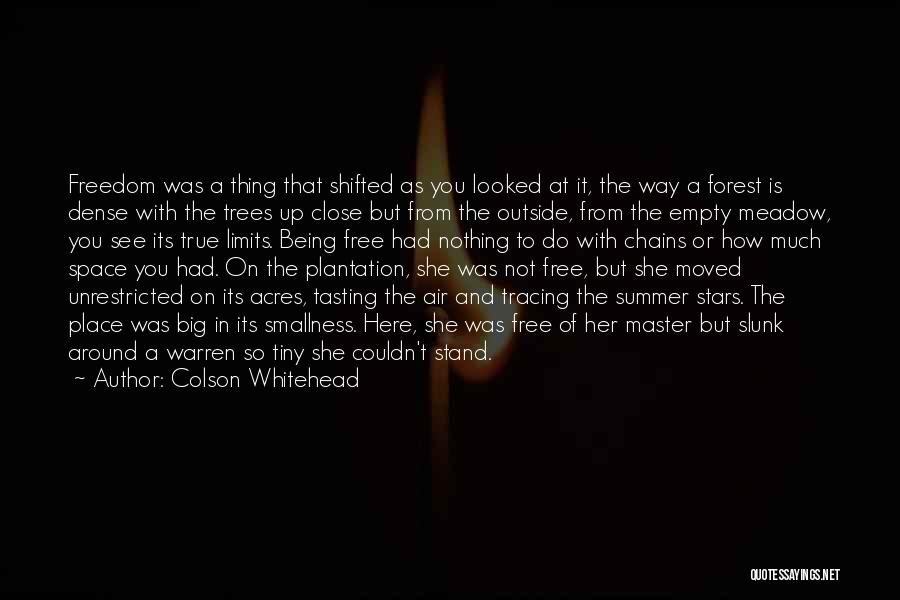 Colson Whitehead Quotes: Freedom Was A Thing That Shifted As You Looked At It, The Way A Forest Is Dense With The Trees