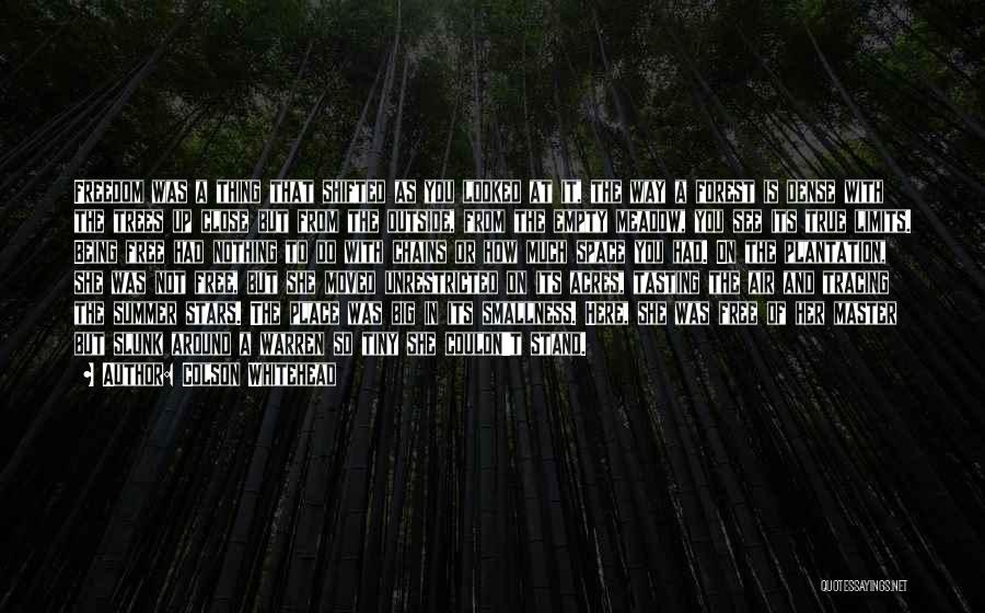 Colson Whitehead Quotes: Freedom Was A Thing That Shifted As You Looked At It, The Way A Forest Is Dense With The Trees