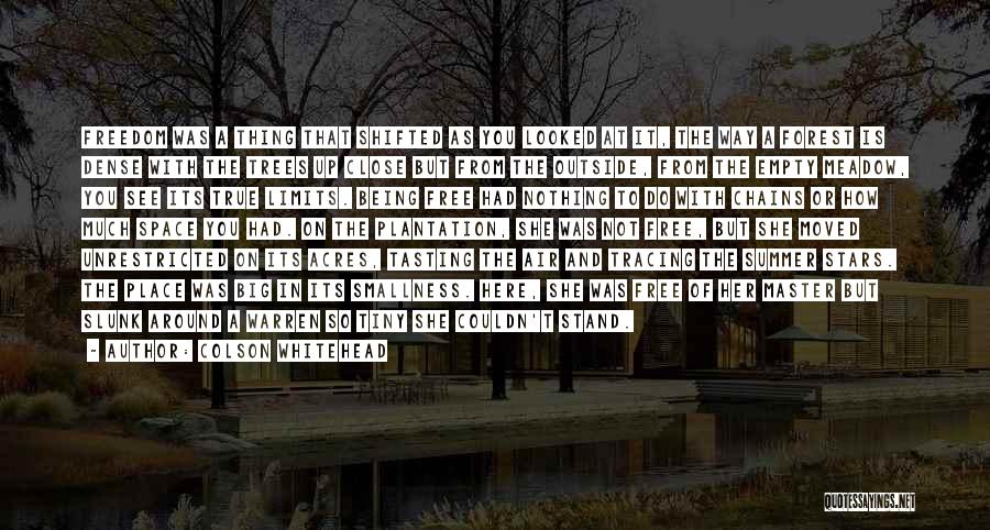 Colson Whitehead Quotes: Freedom Was A Thing That Shifted As You Looked At It, The Way A Forest Is Dense With The Trees