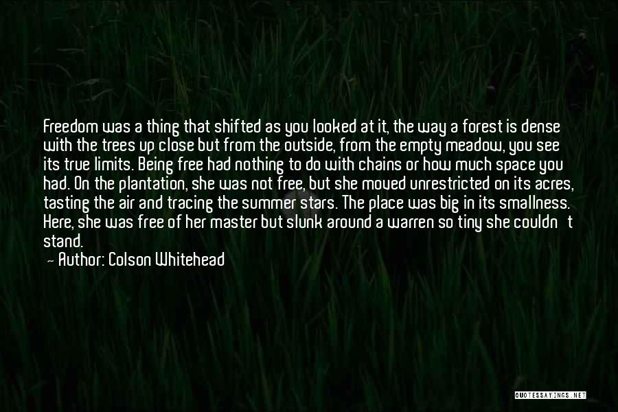 Colson Whitehead Quotes: Freedom Was A Thing That Shifted As You Looked At It, The Way A Forest Is Dense With The Trees