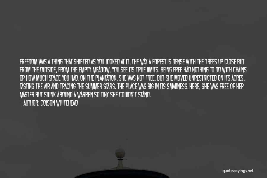 Colson Whitehead Quotes: Freedom Was A Thing That Shifted As You Looked At It, The Way A Forest Is Dense With The Trees