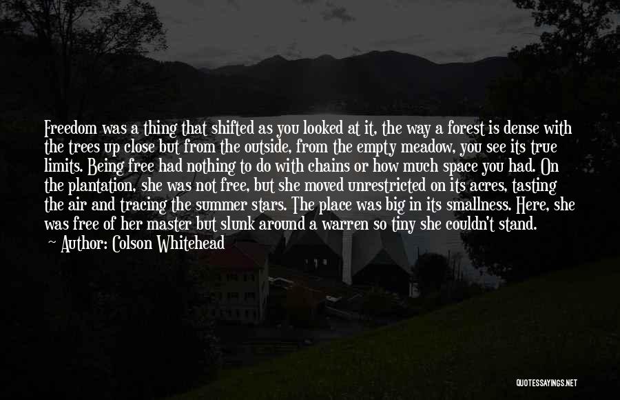 Colson Whitehead Quotes: Freedom Was A Thing That Shifted As You Looked At It, The Way A Forest Is Dense With The Trees