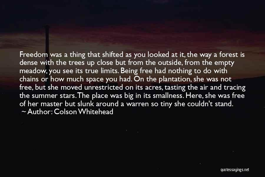 Colson Whitehead Quotes: Freedom Was A Thing That Shifted As You Looked At It, The Way A Forest Is Dense With The Trees