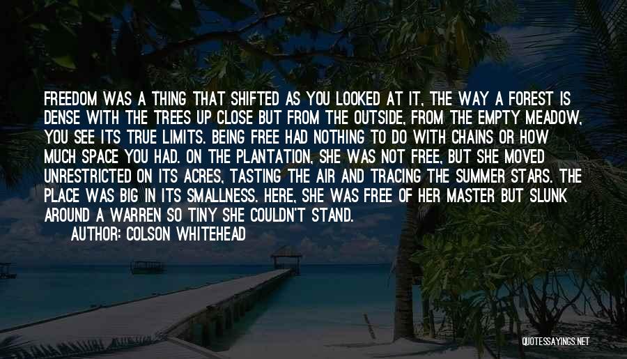 Colson Whitehead Quotes: Freedom Was A Thing That Shifted As You Looked At It, The Way A Forest Is Dense With The Trees