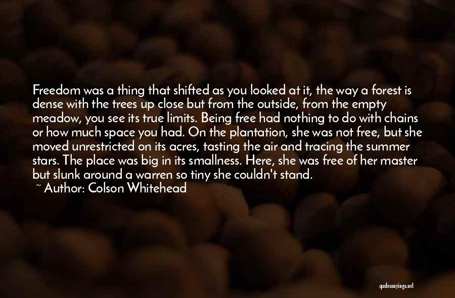 Colson Whitehead Quotes: Freedom Was A Thing That Shifted As You Looked At It, The Way A Forest Is Dense With The Trees