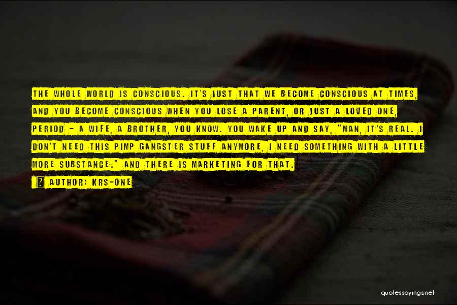 KRS-One Quotes: The Whole World Is Conscious. It's Just That We Become Conscious At Times, And You Become Conscious When You Lose