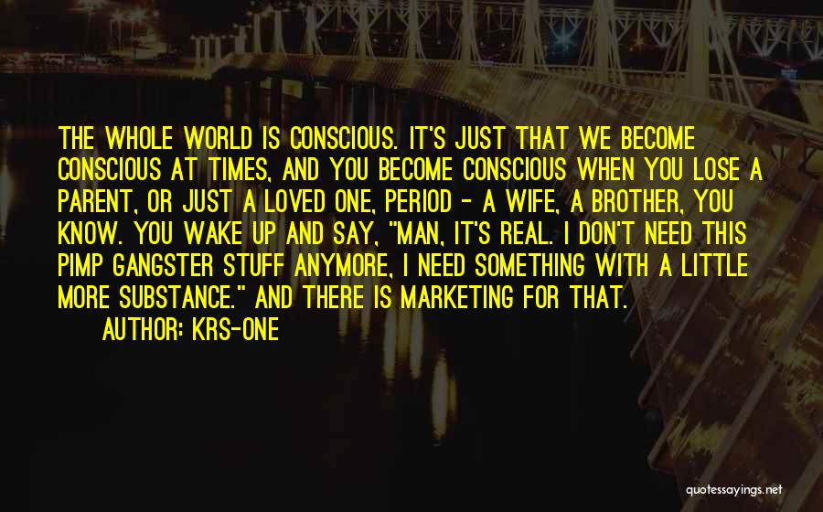 KRS-One Quotes: The Whole World Is Conscious. It's Just That We Become Conscious At Times, And You Become Conscious When You Lose