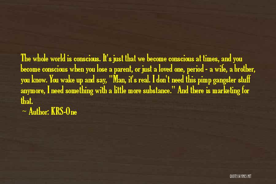 KRS-One Quotes: The Whole World Is Conscious. It's Just That We Become Conscious At Times, And You Become Conscious When You Lose