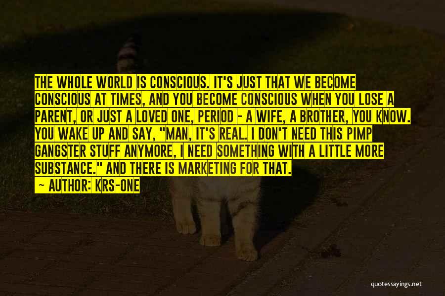 KRS-One Quotes: The Whole World Is Conscious. It's Just That We Become Conscious At Times, And You Become Conscious When You Lose