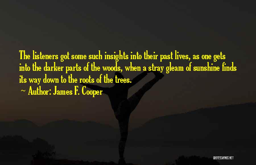 James F. Cooper Quotes: The Listeners Got Some Such Insights Into Their Past Lives, As One Gets Into The Darker Parts Of The Woods,