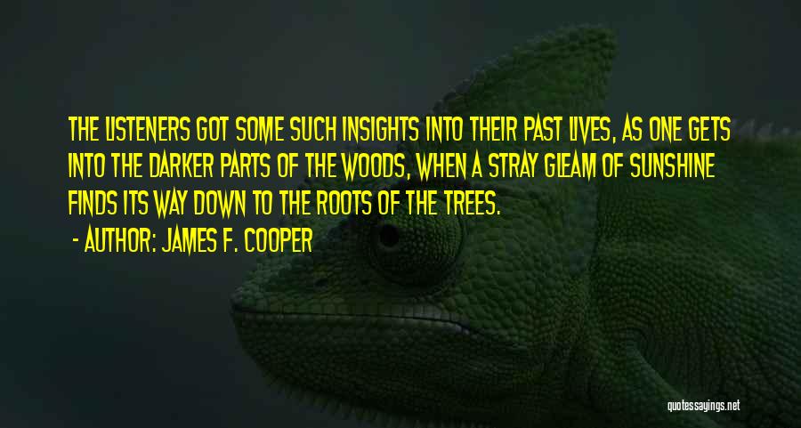 James F. Cooper Quotes: The Listeners Got Some Such Insights Into Their Past Lives, As One Gets Into The Darker Parts Of The Woods,