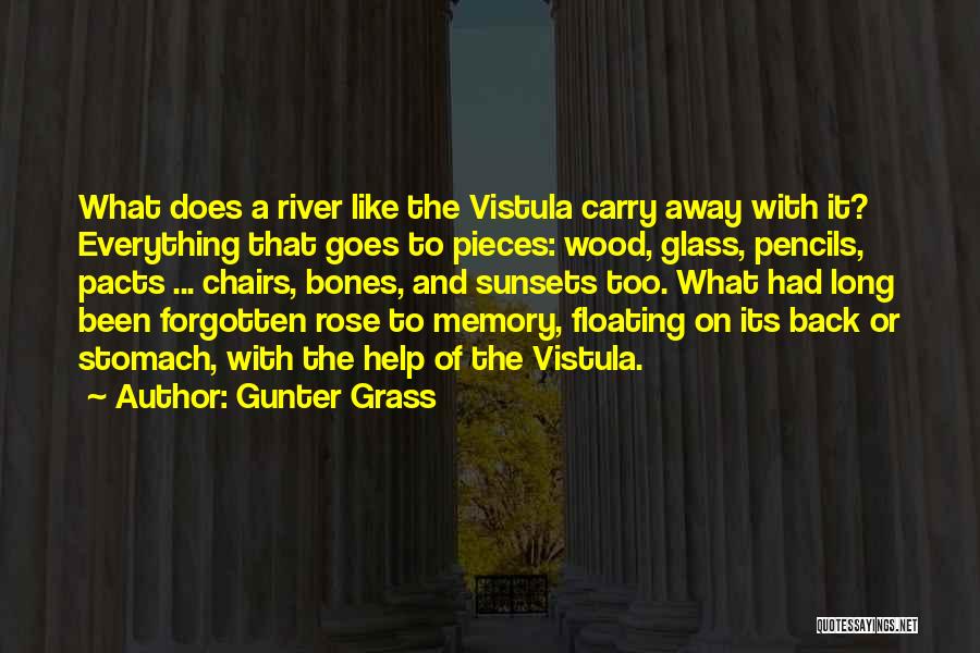 Gunter Grass Quotes: What Does A River Like The Vistula Carry Away With It? Everything That Goes To Pieces: Wood, Glass, Pencils, Pacts