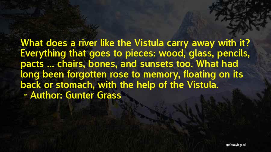 Gunter Grass Quotes: What Does A River Like The Vistula Carry Away With It? Everything That Goes To Pieces: Wood, Glass, Pencils, Pacts