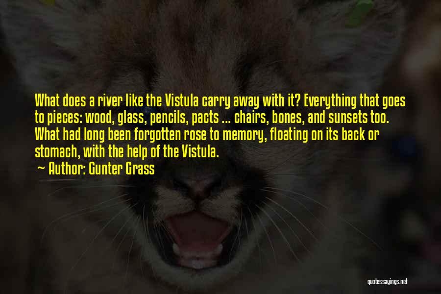 Gunter Grass Quotes: What Does A River Like The Vistula Carry Away With It? Everything That Goes To Pieces: Wood, Glass, Pencils, Pacts