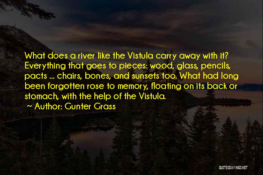 Gunter Grass Quotes: What Does A River Like The Vistula Carry Away With It? Everything That Goes To Pieces: Wood, Glass, Pencils, Pacts