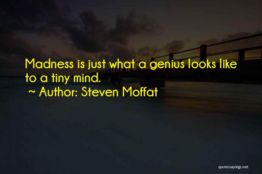 Steven Moffat Quotes: Madness Is Just What A Genius Looks Like To A Tiny Mind.