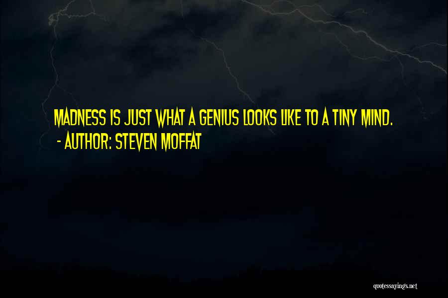 Steven Moffat Quotes: Madness Is Just What A Genius Looks Like To A Tiny Mind.