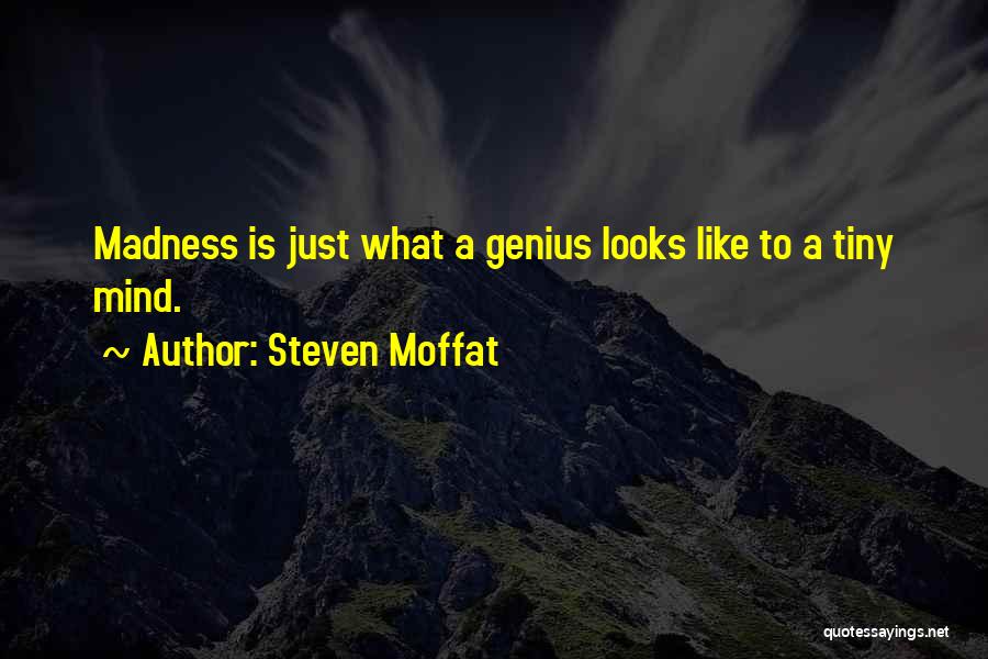 Steven Moffat Quotes: Madness Is Just What A Genius Looks Like To A Tiny Mind.