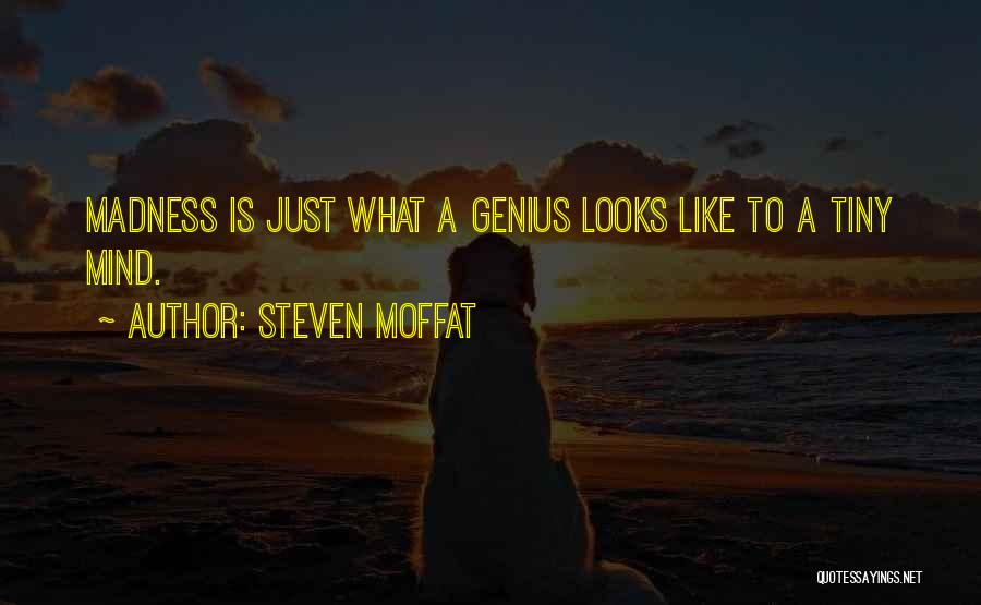 Steven Moffat Quotes: Madness Is Just What A Genius Looks Like To A Tiny Mind.