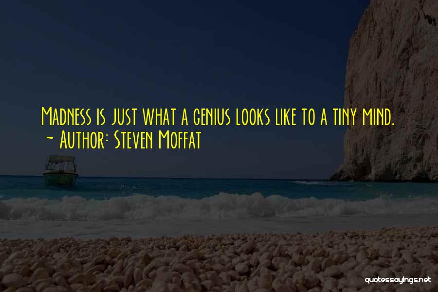 Steven Moffat Quotes: Madness Is Just What A Genius Looks Like To A Tiny Mind.