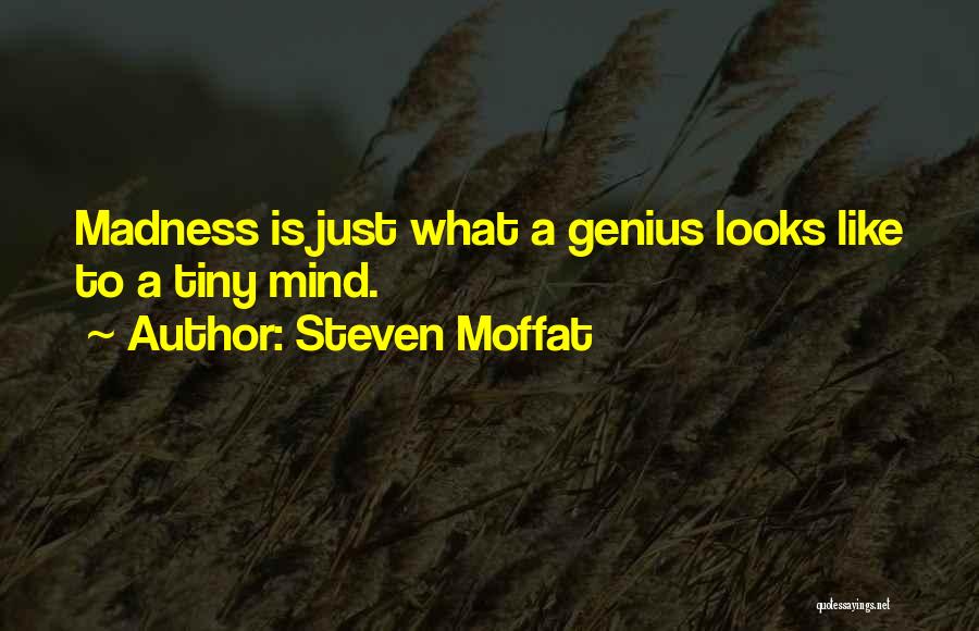 Steven Moffat Quotes: Madness Is Just What A Genius Looks Like To A Tiny Mind.