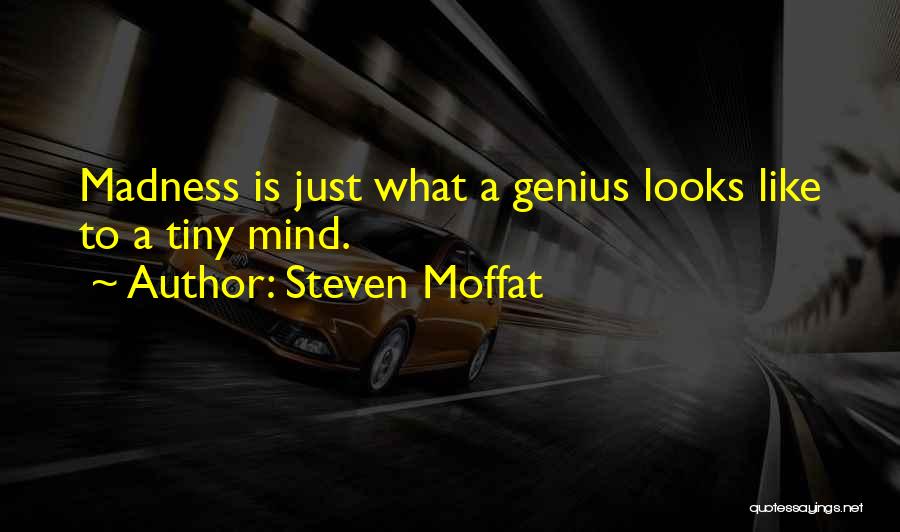 Steven Moffat Quotes: Madness Is Just What A Genius Looks Like To A Tiny Mind.