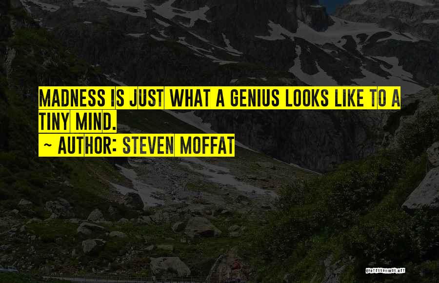 Steven Moffat Quotes: Madness Is Just What A Genius Looks Like To A Tiny Mind.