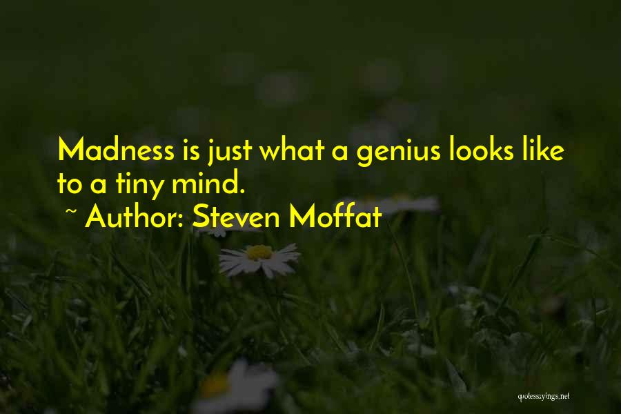 Steven Moffat Quotes: Madness Is Just What A Genius Looks Like To A Tiny Mind.