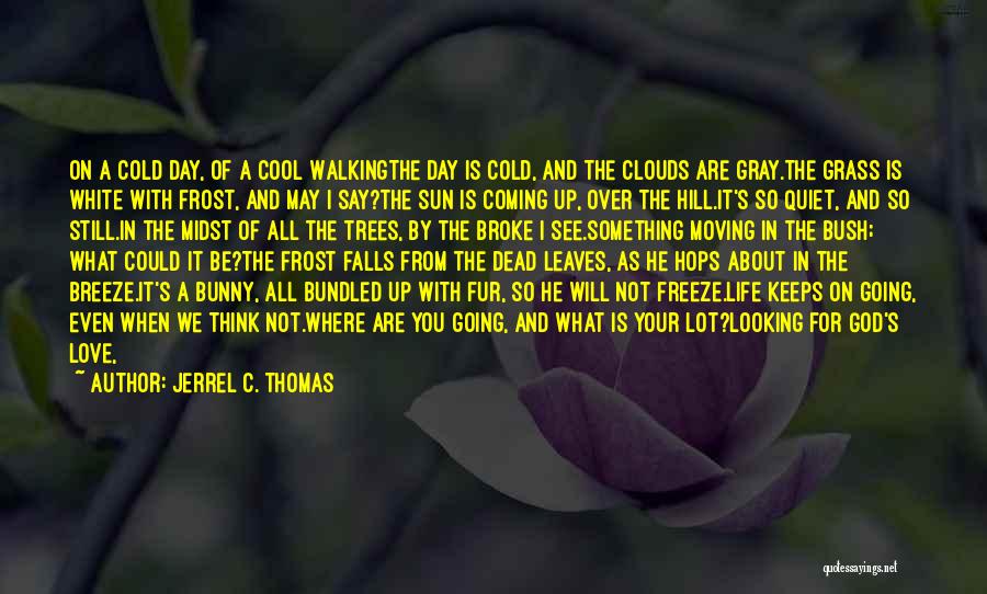 Jerrel C. Thomas Quotes: On A Cold Day, Of A Cool Walkingthe Day Is Cold, And The Clouds Are Gray.the Grass Is White With