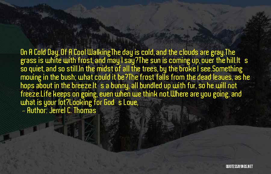 Jerrel C. Thomas Quotes: On A Cold Day, Of A Cool Walkingthe Day Is Cold, And The Clouds Are Gray.the Grass Is White With