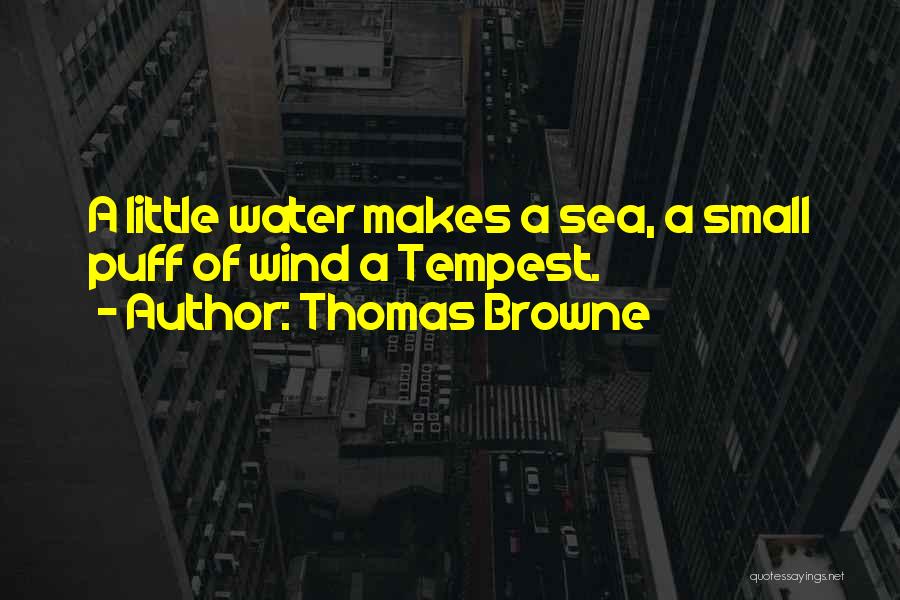 Thomas Browne Quotes: A Little Water Makes A Sea, A Small Puff Of Wind A Tempest.