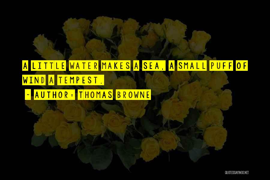 Thomas Browne Quotes: A Little Water Makes A Sea, A Small Puff Of Wind A Tempest.