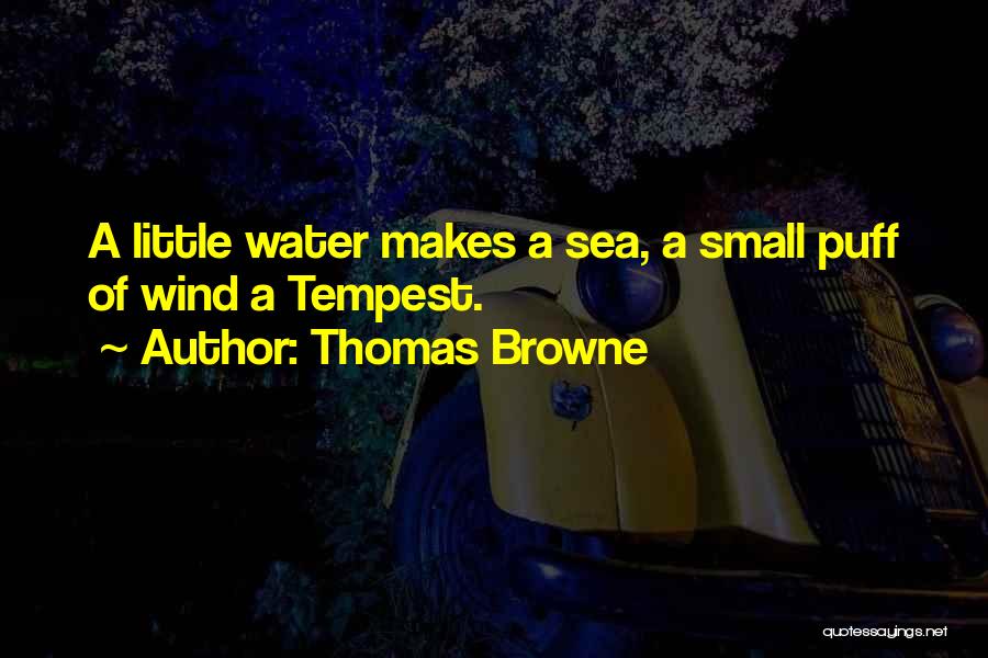 Thomas Browne Quotes: A Little Water Makes A Sea, A Small Puff Of Wind A Tempest.