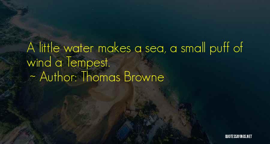 Thomas Browne Quotes: A Little Water Makes A Sea, A Small Puff Of Wind A Tempest.