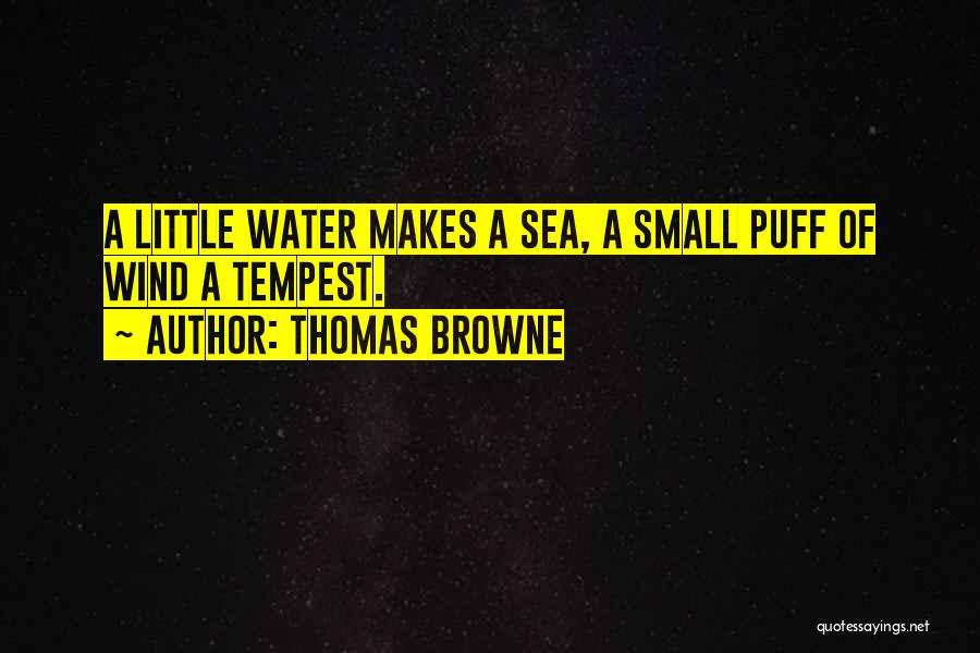 Thomas Browne Quotes: A Little Water Makes A Sea, A Small Puff Of Wind A Tempest.