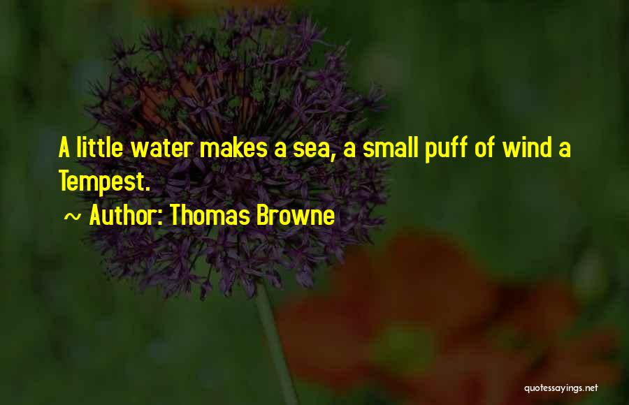 Thomas Browne Quotes: A Little Water Makes A Sea, A Small Puff Of Wind A Tempest.