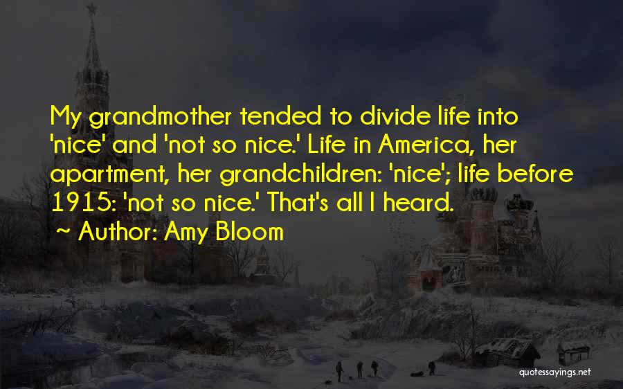 Amy Bloom Quotes: My Grandmother Tended To Divide Life Into 'nice' And 'not So Nice.' Life In America, Her Apartment, Her Grandchildren: 'nice';