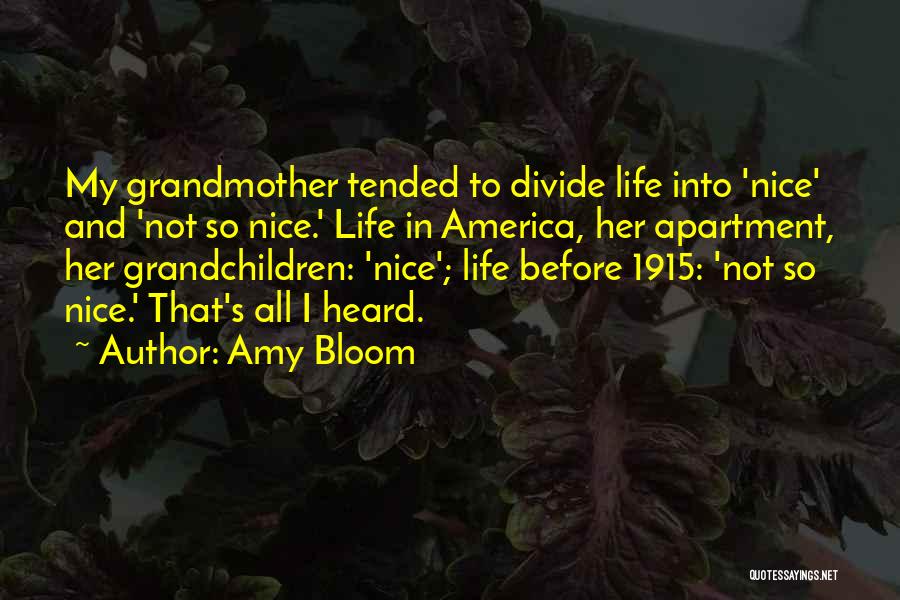 Amy Bloom Quotes: My Grandmother Tended To Divide Life Into 'nice' And 'not So Nice.' Life In America, Her Apartment, Her Grandchildren: 'nice';