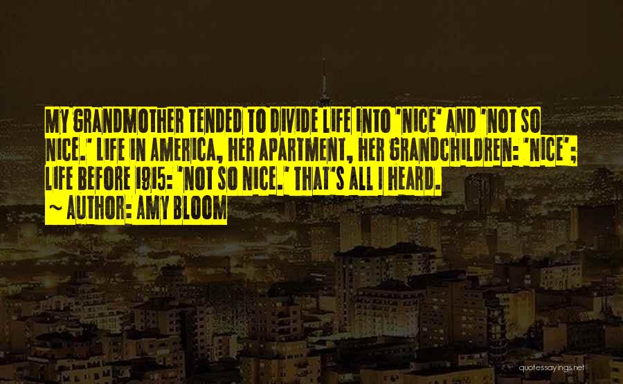 Amy Bloom Quotes: My Grandmother Tended To Divide Life Into 'nice' And 'not So Nice.' Life In America, Her Apartment, Her Grandchildren: 'nice';